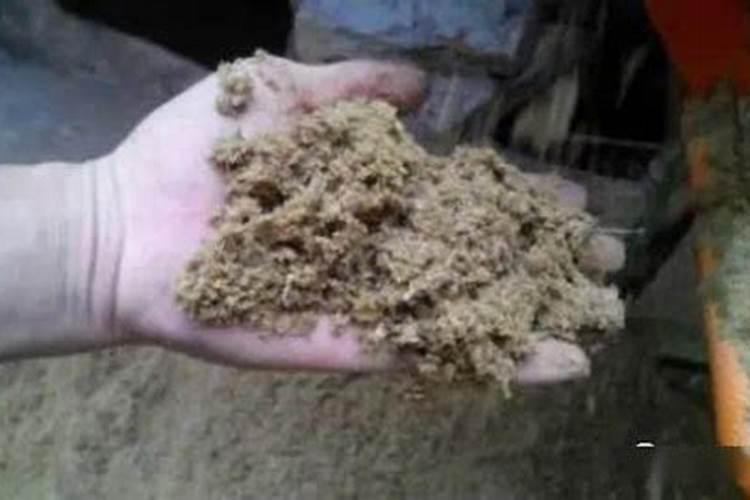 兔子粪便可以当肥料吗(兔子的屎能不能直接用来当肥料)