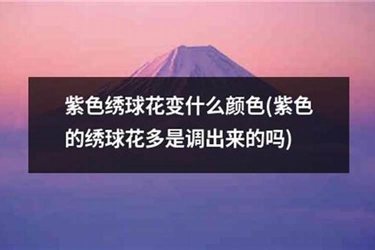 绣球花怎么调色