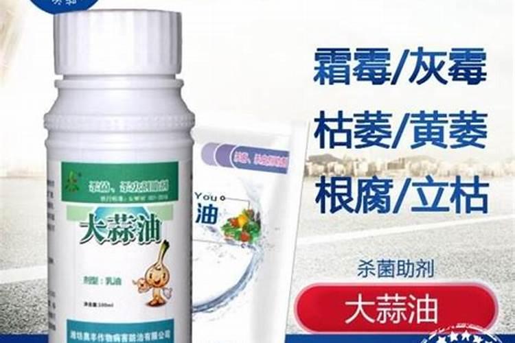 褐斑病用什么杀菌剂好