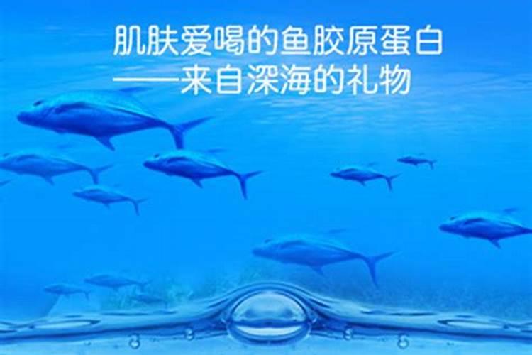 西瓜上什么肥料又大又甜