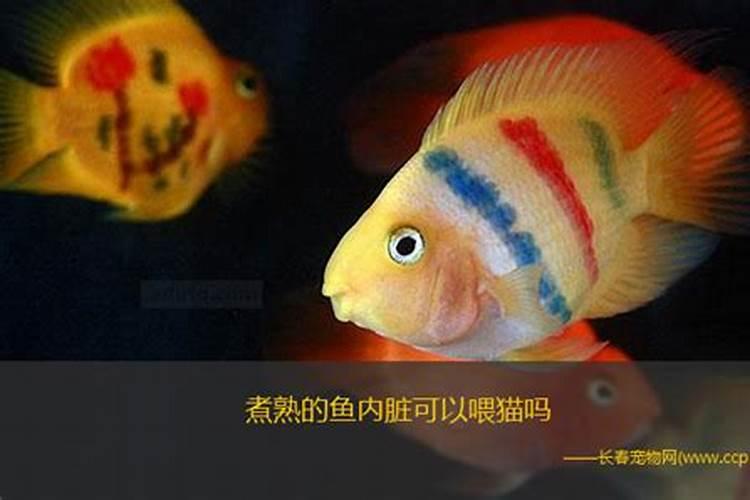 葵花底肥放什么肥好(底肥施用方法)