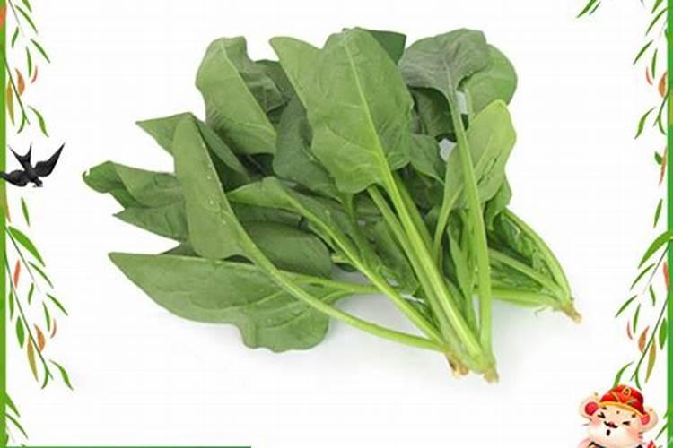 种植蔬菜想要增加产量？在施肥时都有哪些技巧？