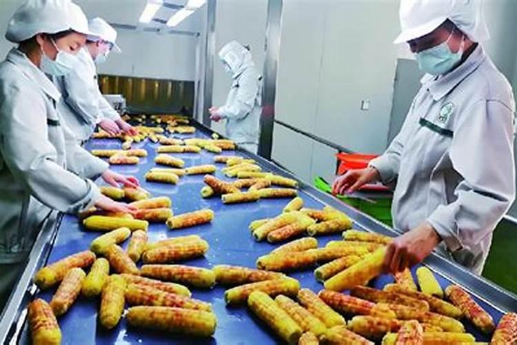 玉米专用肥料什么品牌的好？