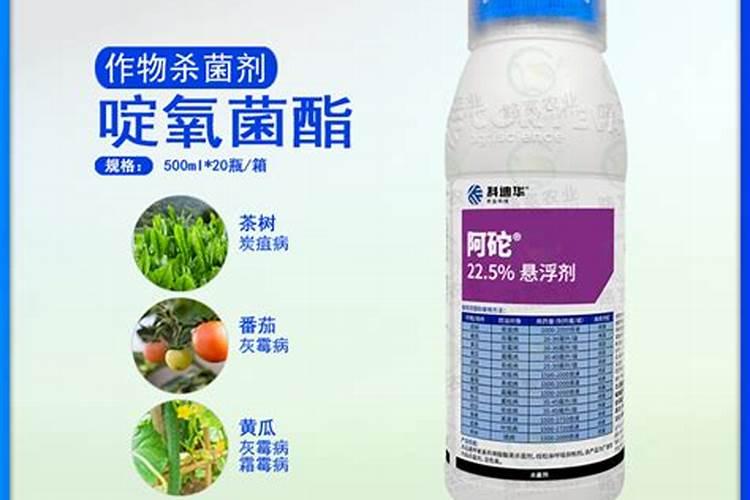 冬枣如何施肥才能高产