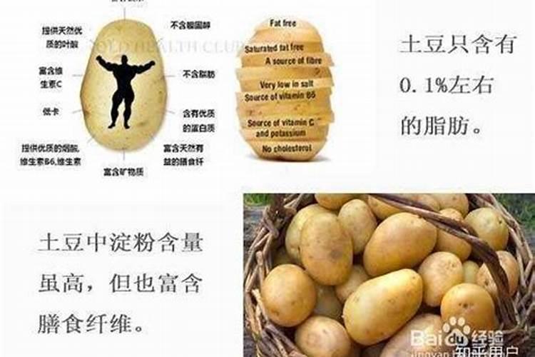 土豆施肥技术要点 马铃薯施肥技术要点