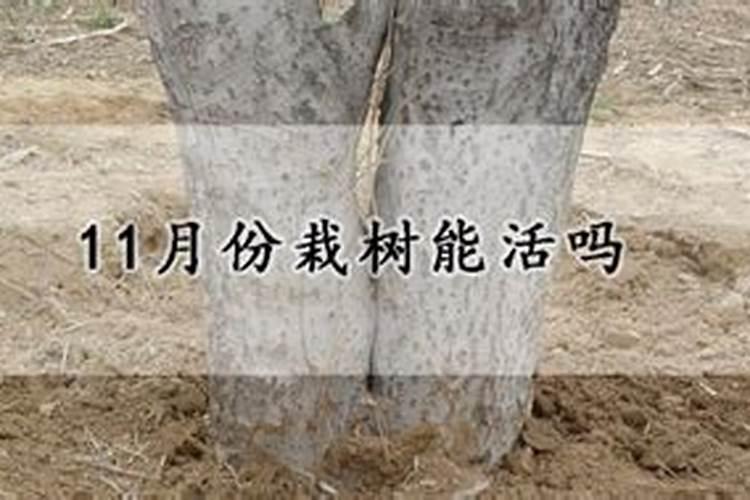 广西惠旺尔农业科技有限公司 简介