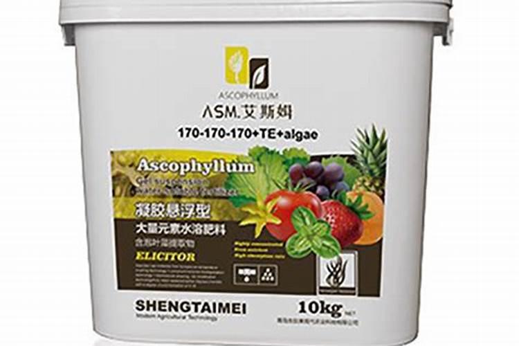 南方西葫芦种植技术西葫芦高产栽培技术