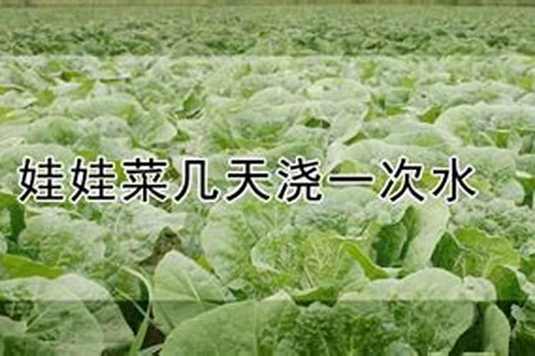 种蔬菜农家肥多久施一次