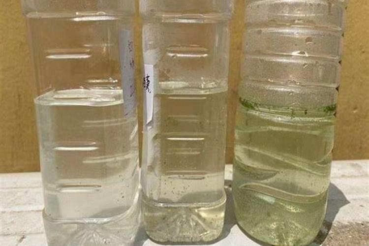 磷肥的正确使用方法