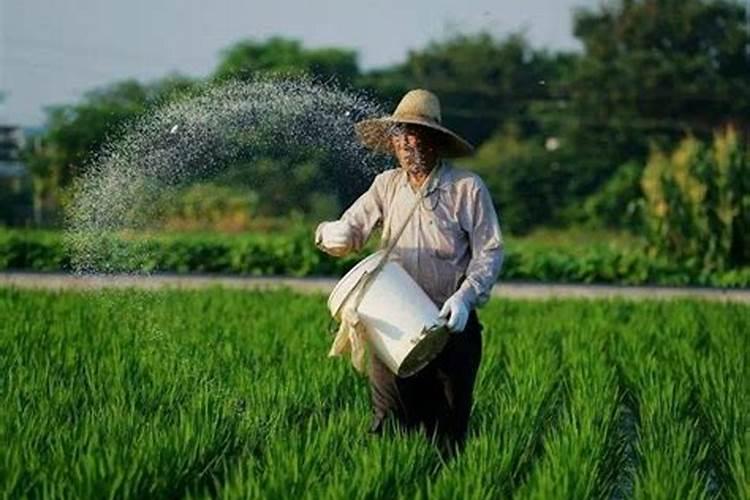 氮肥过量如何解决