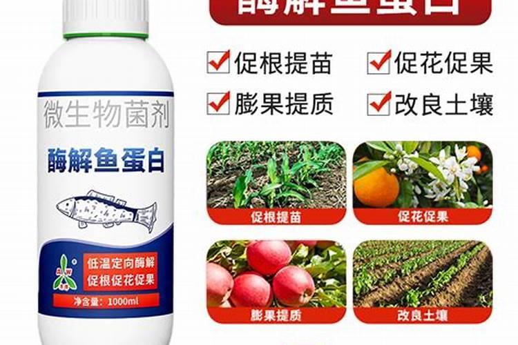 昆明土豆批发市场在哪里