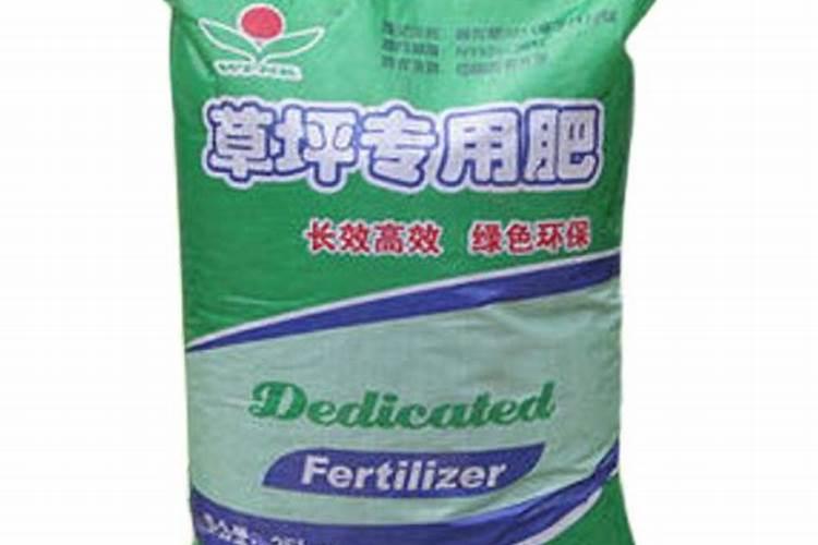 三角梅不开花怎么办？喷上一种水立马长花苞