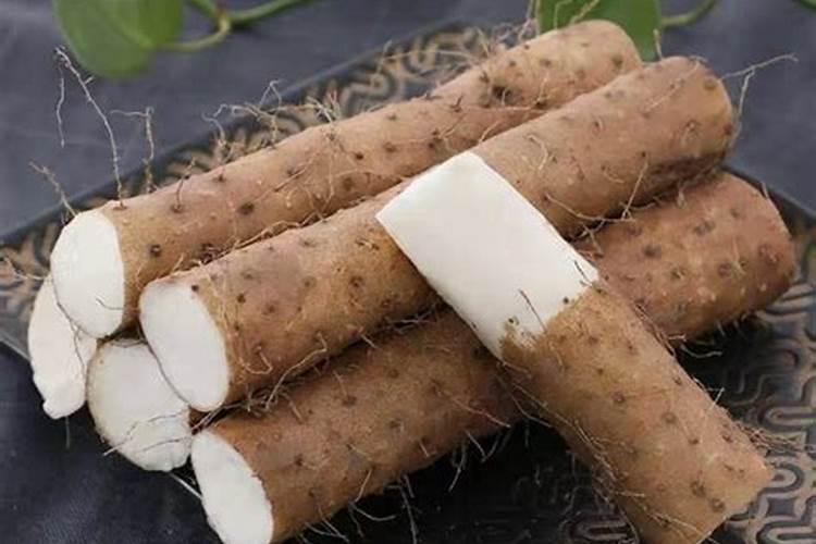山药怎么种植