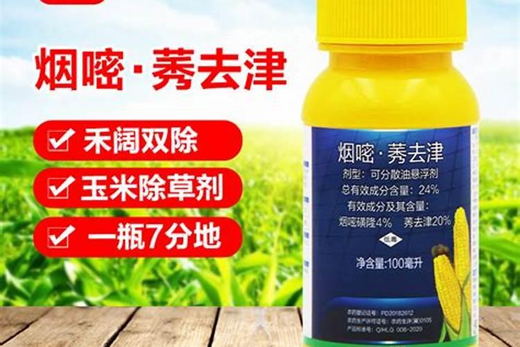 玉米除草剂能和叶面肥混用吗