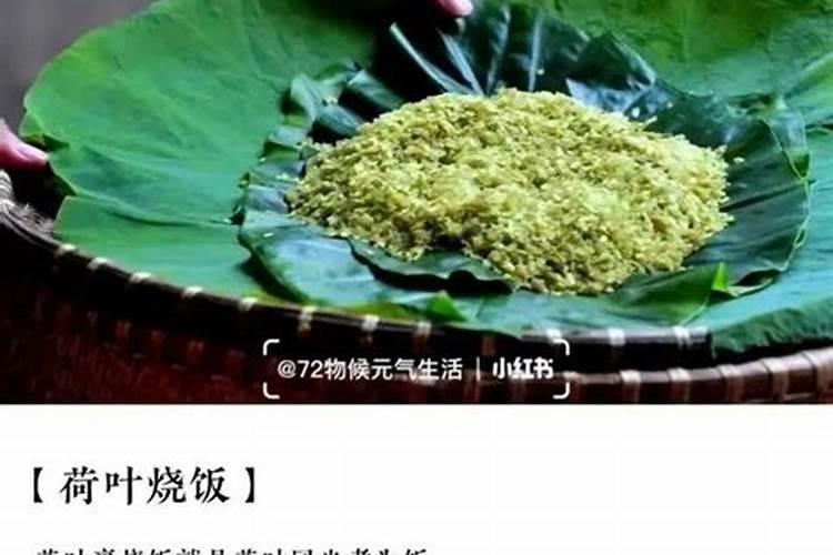 荷叶发红缺少什么肥料