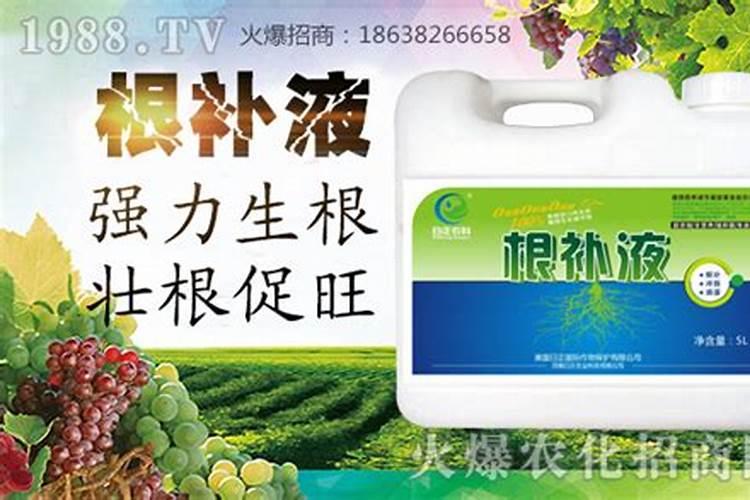 生根用什么肥
