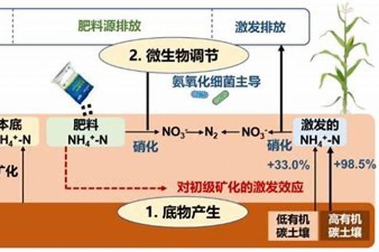养虾水体氨氮过高怎么处理