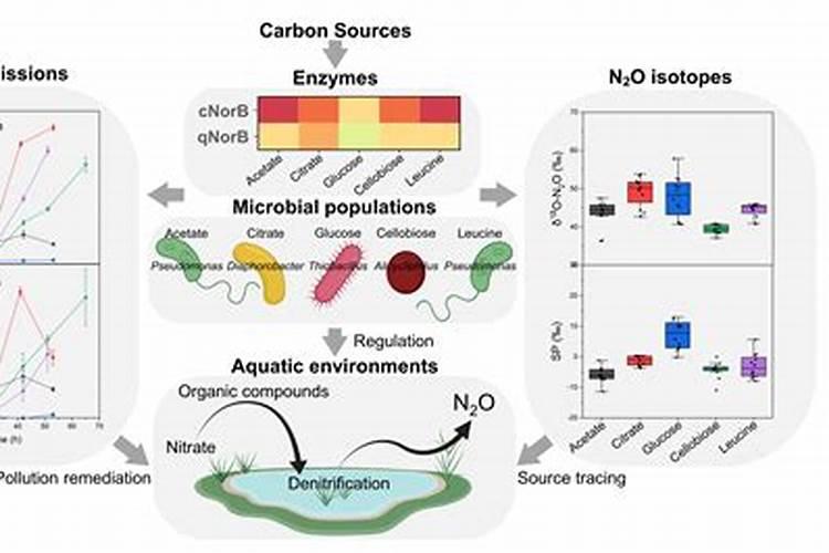 固氮菌肥料如何施用？