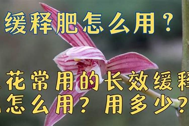 兰花养护最好的肥料