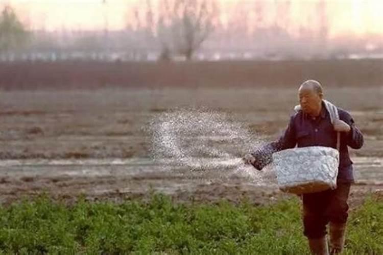 水溶肥什么牌子的最好？