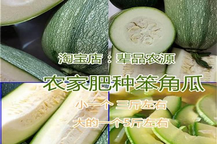 角瓜得病了,水渍状斑痕