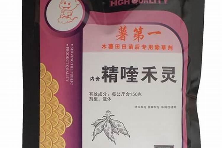 远志的种植时间及种植要点