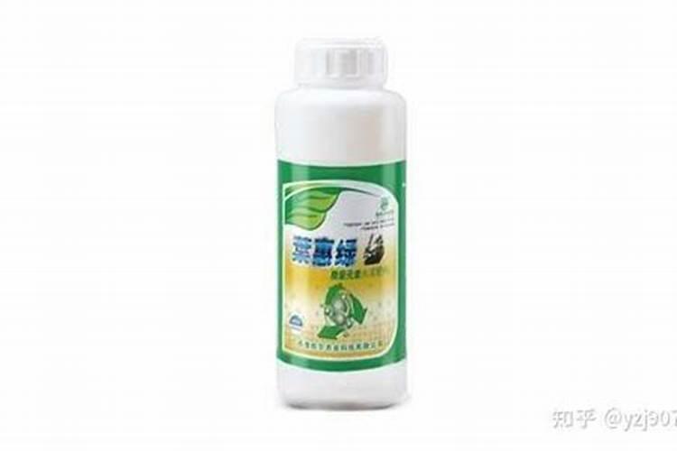 春羽花期是什么时候