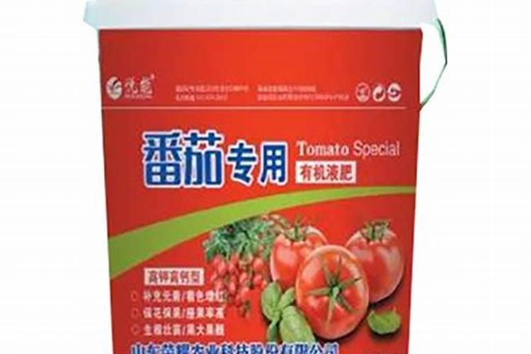 越冬大棚番茄栽培底肥用啥肥比较好？