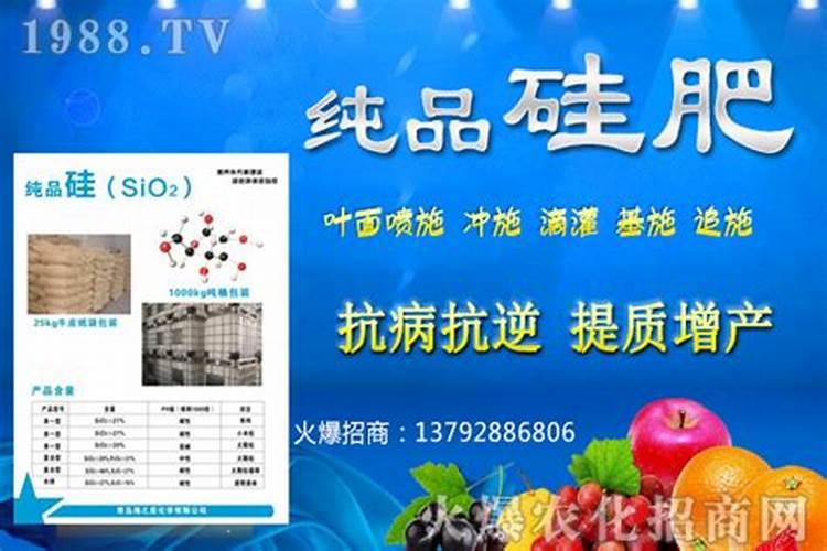 硅肥的成分是什么