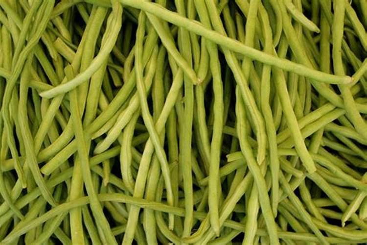 豆角最忌哪种肥料种植呢