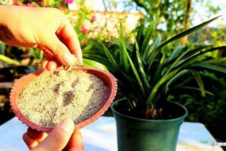 水溶肥和复合肥的区别是什么