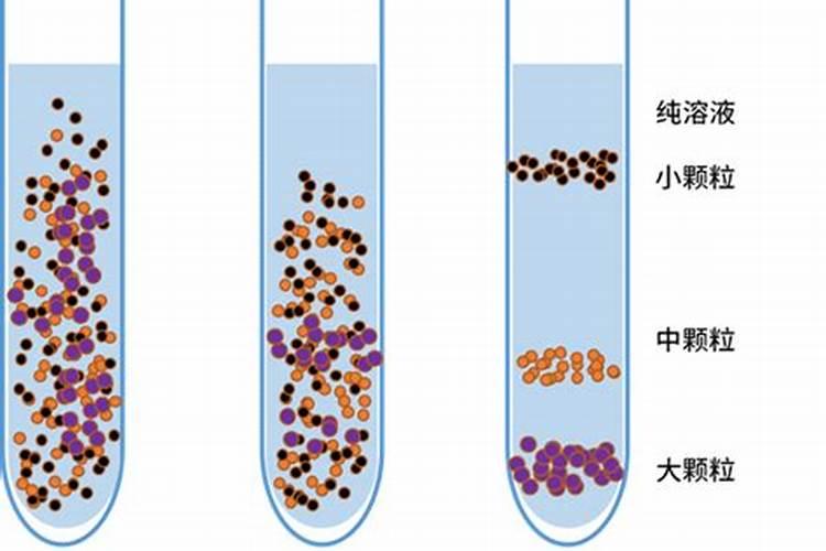 馒头如何做花肥 馒头怎样做花肥