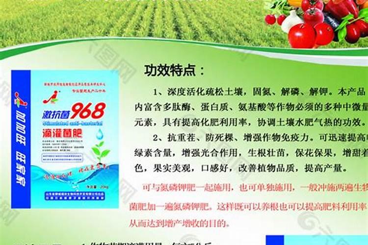 963养根素怎样辨别真假