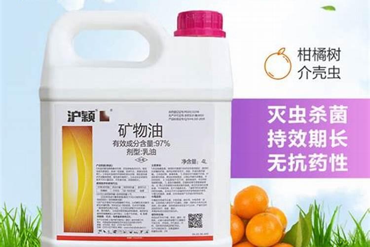 辣椒主要病害及其防治