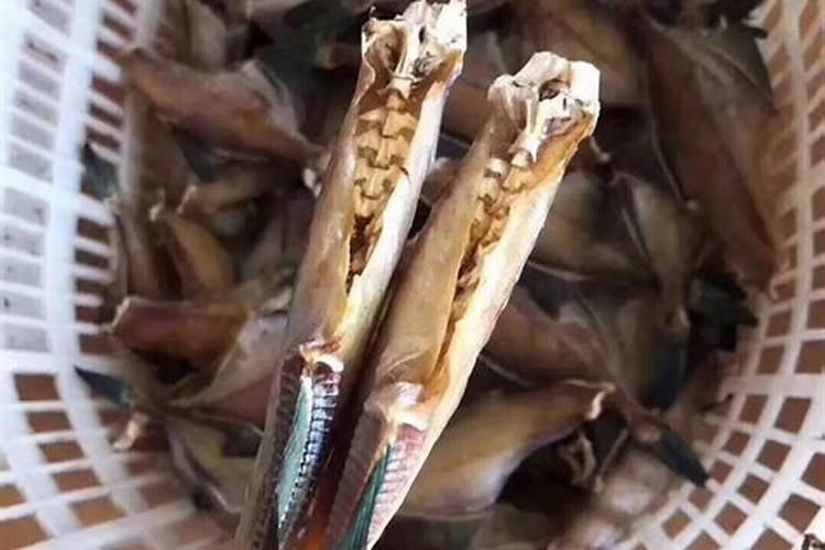 如何鉴别鱿鱼干的质量 鱿鱼干好坏怎样判断