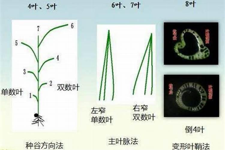 大豆喷什么叶面肥好,如何喷施