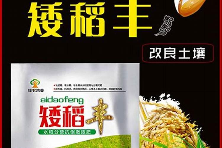 寒地水稻此时水层,施肥,防病虫害如何管理？