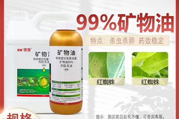 茶花冬天上什么肥