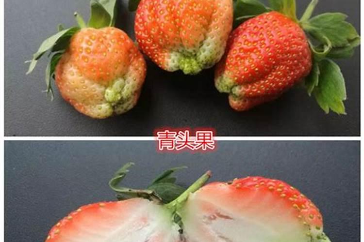 草莓高钾肥的使用方法