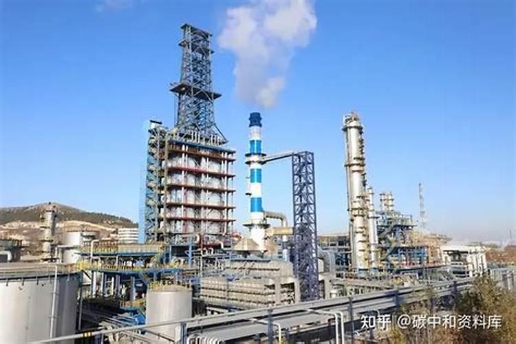 养红边椒草有哪些方法和技巧 养红边椒草方法和技巧是神什么