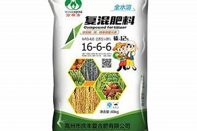 青梗松花菜庆杰100天f1怎么种