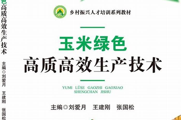 玉米追肥用什么肥料比较好