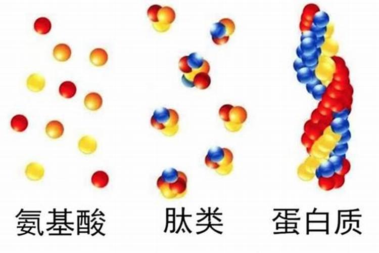 氨基酸可以浇花吗？怎么使用呢