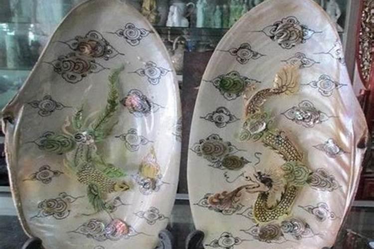 海蛎子的壳主要成分是什么用它养多肉植物行不行