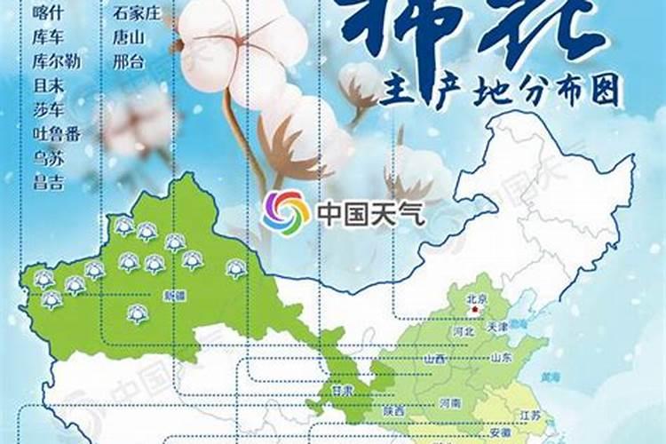 有机物有哪些？