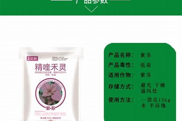 草木灰属于什么肥