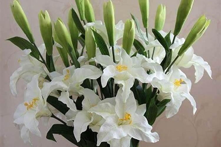 香水百合怎么施肥