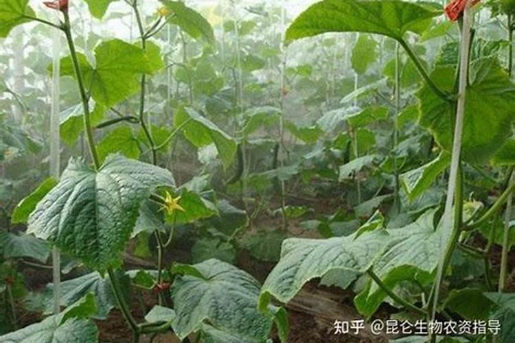 生产复合肥的氮肥 磷肥和钾肥分别有哪些
