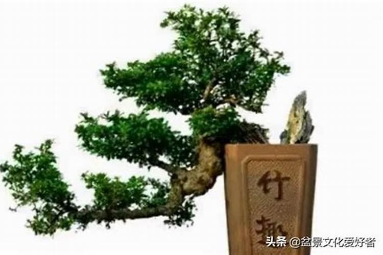 氮肥在土壤中的有效期