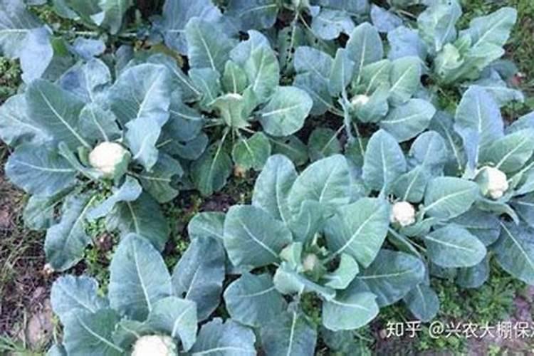 老挝甘蒙省年产200万吨钾肥二期项目可行性研究报告